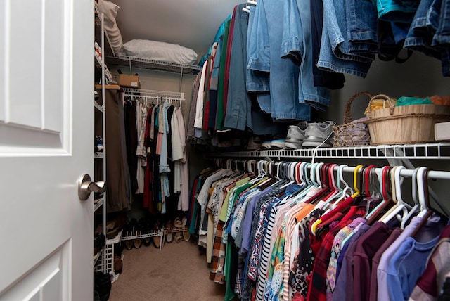 walk in closet featuring carpet flooring