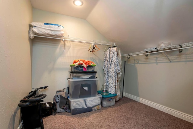 walk in closet with lofted ceiling and carpet flooring