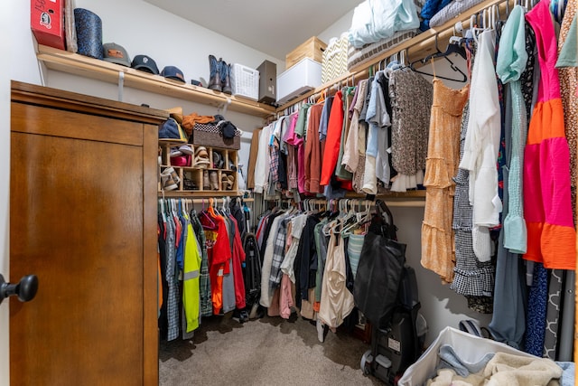 walk in closet featuring carpet flooring