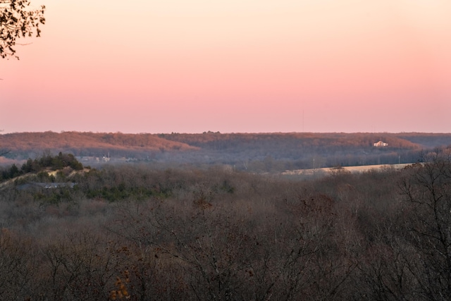 view of mountain feature