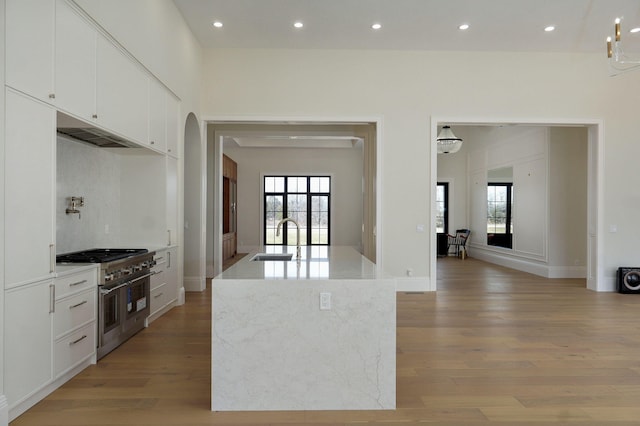 kitchen featuring plenty of natural light, double oven range, light wood-type flooring, and a sink