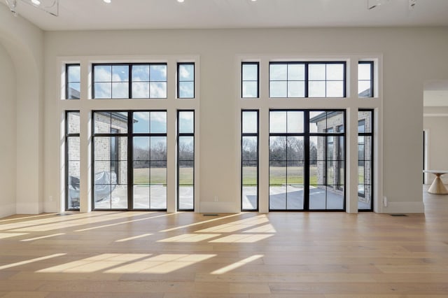 doorway featuring a wealth of natural light, a high ceiling, and wood finished floors