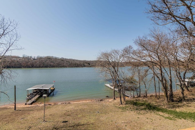 water view featuring a floating dock