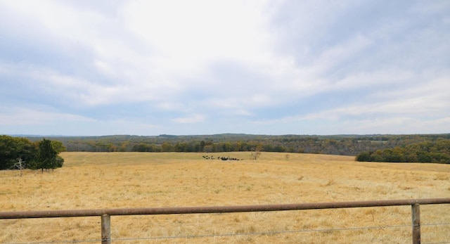 000 County Road 194, Dora, MO 65637 - photo 8