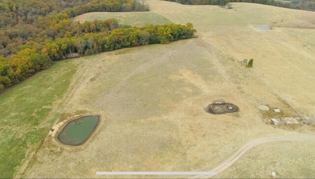 000 County Road 194, Dora, MO 65637 - photo 11