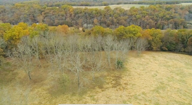 000 County Road 194, Dora, MO 65637 - photo 31