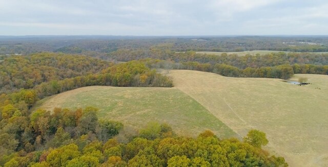 000 County Road 194, Dora, MO 65637 - photo 9
