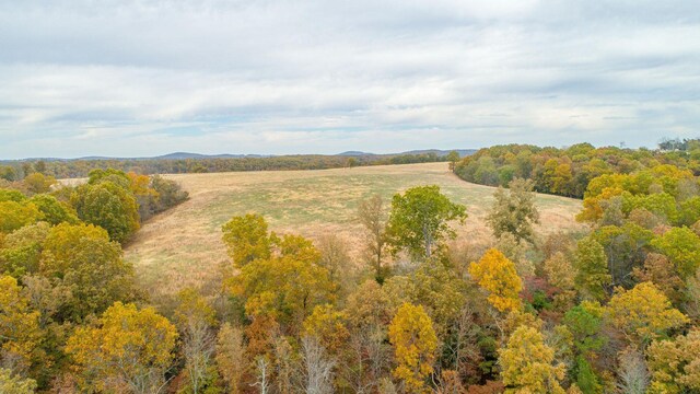 000 County Road 194, Dora, MO 65637 - photo 7