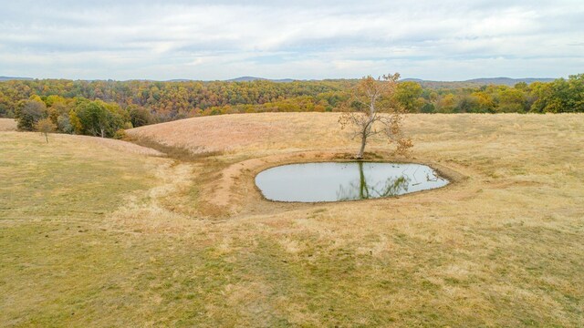 000 County Road 194, Dora, MO 65637 - photo 25