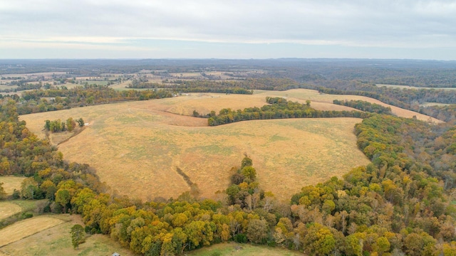 000 County Road 194, Dora, MO 65637 - photo 21