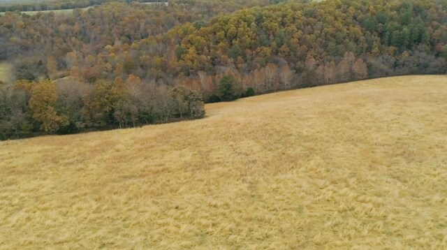 000 County Road 194, Dora, MO 65637 - photo 32