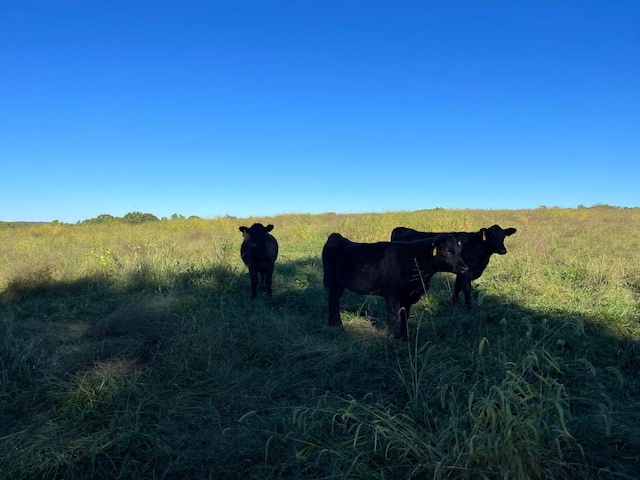 000 County Road 194, Dora, MO 65637 - photo 51