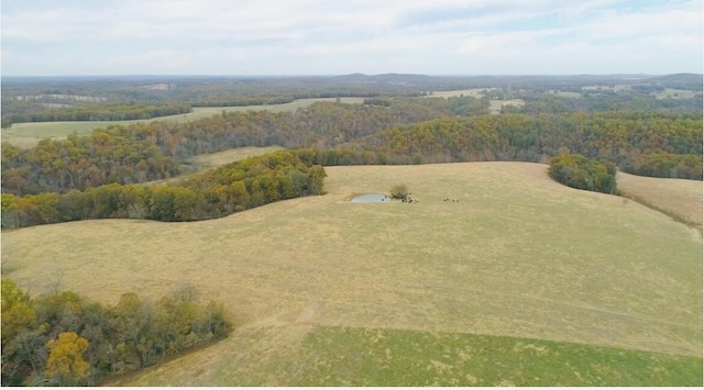 000 County Road 194, Dora, MO 65637 - photo 34