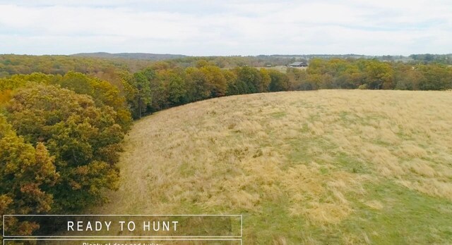 000 County Road 194, Dora, MO 65637 - photo 4