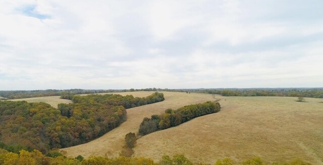 000 County Road 194, Dora, MO 65637 - photo 33