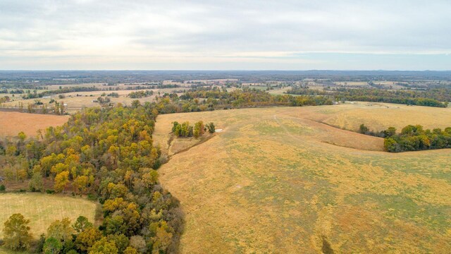 000 County Road 194, Dora, MO 65637 - photo 22