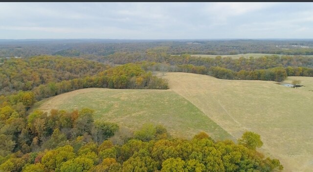 000 County Road 194, Dora, MO 65637 - photo 30