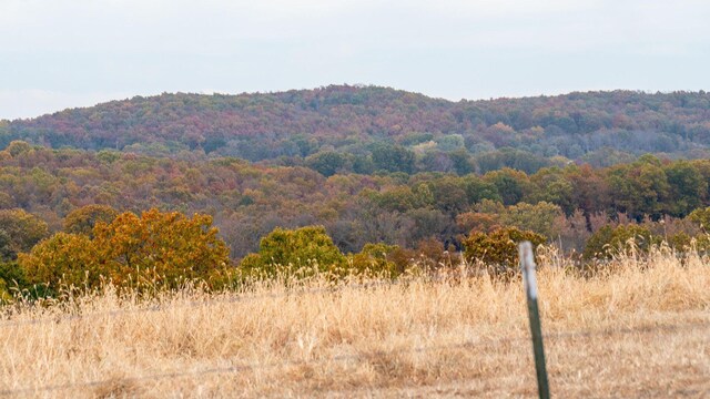 000 County Road 194, Dora, MO 65637 - photo 19