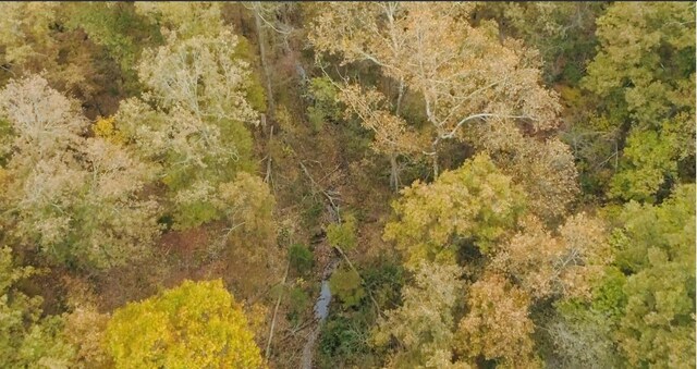 000 County Road 194, Dora, MO 65637 - photo 6