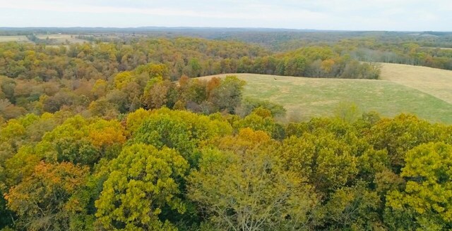 000 County Road 194, Dora, MO 65637 - photo 20