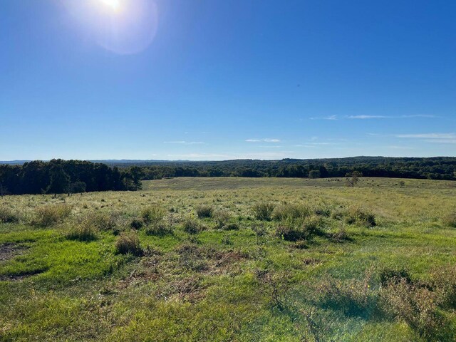 000 County Road 194, Dora, MO 65637 - photo 45
