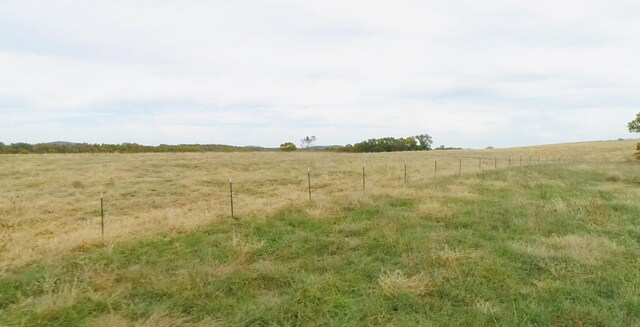 000 County Road 194, Dora, MO 65637 - photo 29