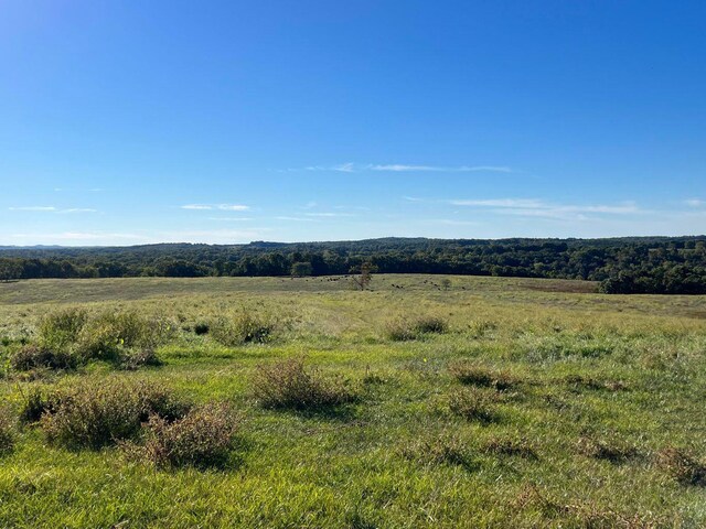 000 County Road 194, Dora, MO 65637 - photo 53