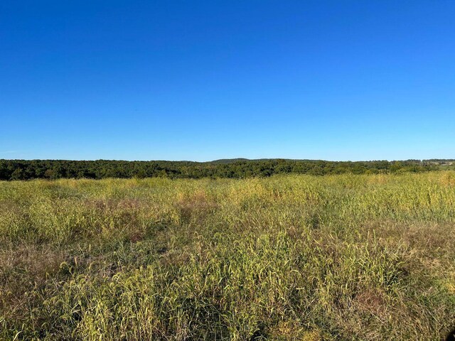 000 County Road 194, Dora, MO 65637 - photo 35