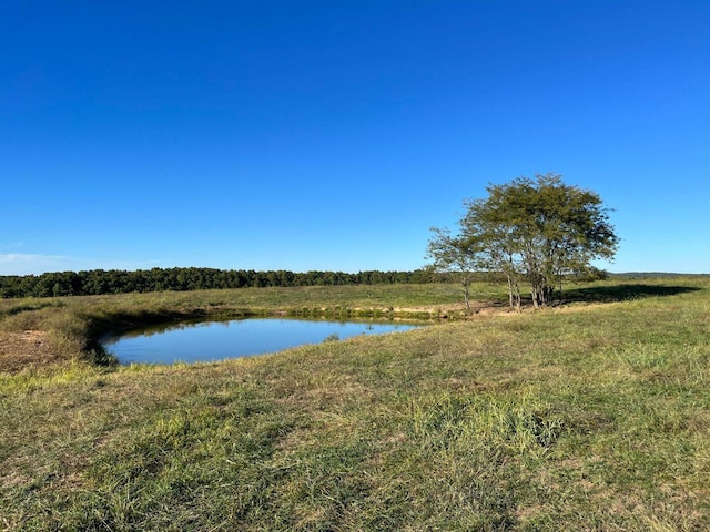 000 County Road 194, Dora, MO 65637 - photo 50