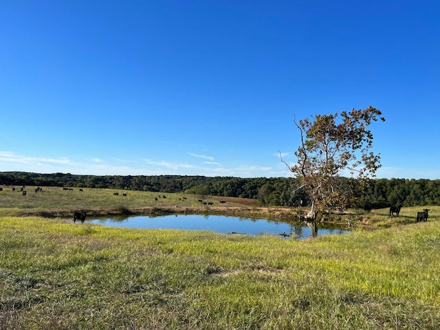 000 County Road 194, Dora, MO 65637 - photo 40