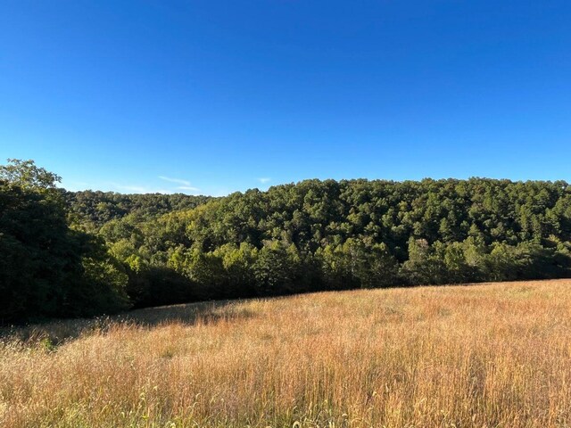 000 County Road 194, Dora, MO 65637 - photo 48