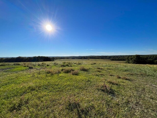 000 County Road 194, Dora, MO 65637 - photo 41
