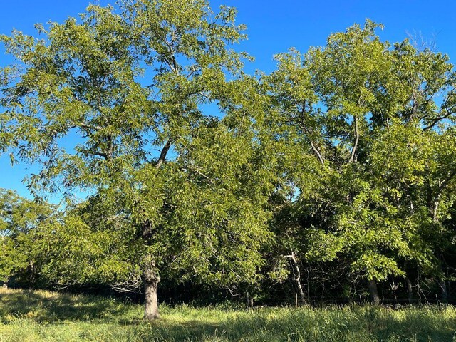 000 County Road 194, Dora, MO 65637 - photo 46