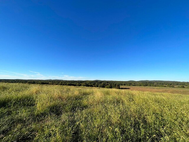 000 County Road 194, Dora, MO 65637 - photo 52