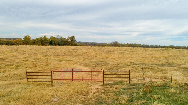 000 County Road 194, Dora, MO 65637 - photo 24