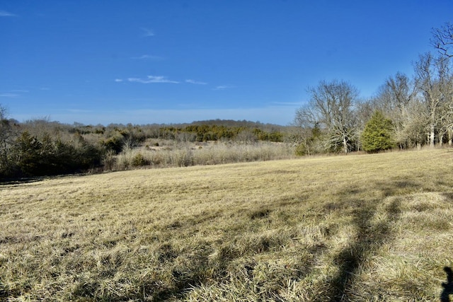 view of local wilderness with a rural view