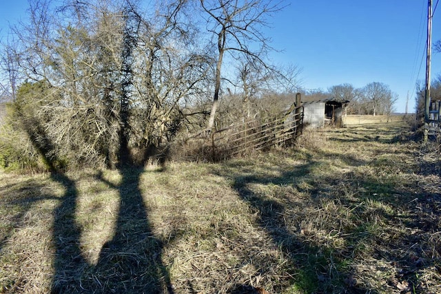 view of local wilderness