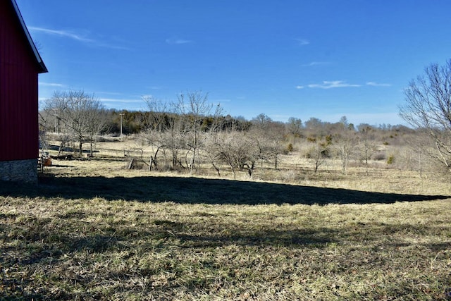 view of yard with a rural view