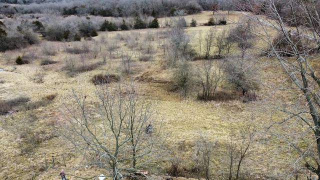 view of local wilderness