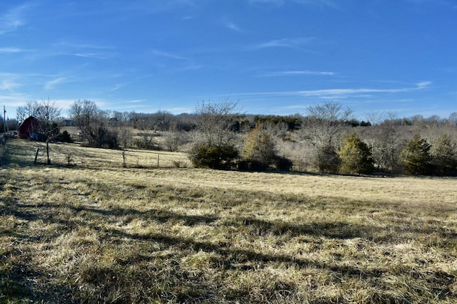 view of yard featuring a rural view