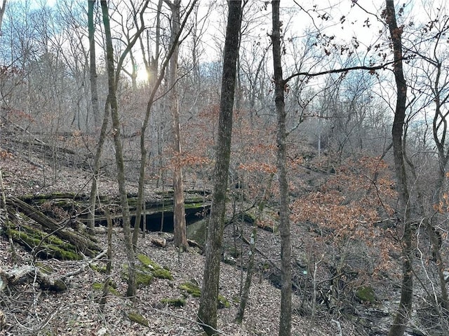 view of local wilderness featuring a wooded view