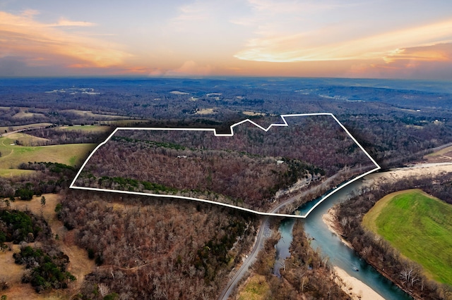 drone / aerial view with a water view and a view of trees