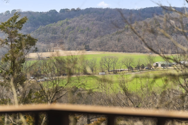 view of mountain feature featuring a view of trees