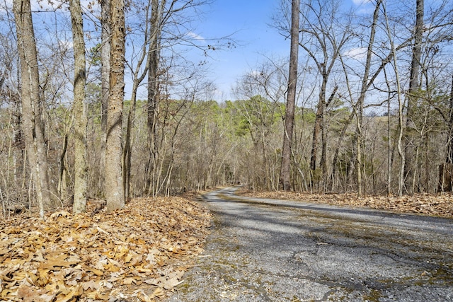 view of road with a view of trees