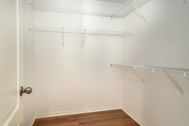 175 Mesquite Dr, Branson, MO 65616 - spacious closet with dark wood-style flooring