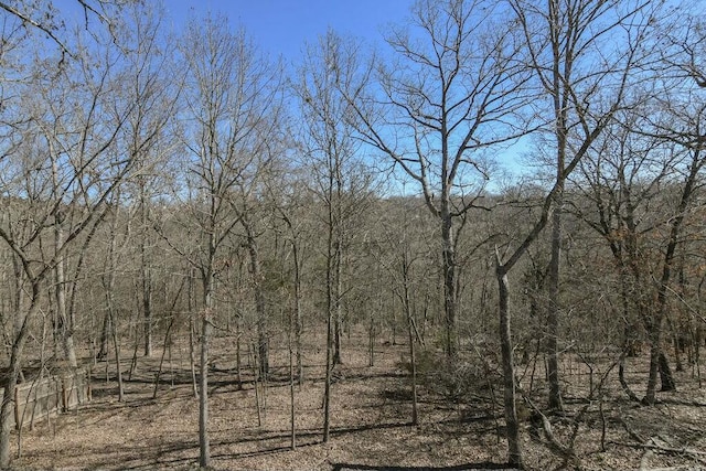 175 Mesquite Dr, Branson, MO 65616 - view of local wilderness featuring a forest view