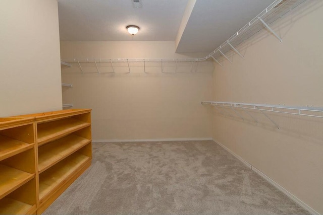 175 Mesquite Dr, Branson, MO 65616 - walk in closet with carpet