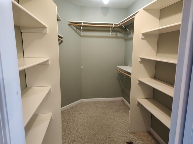 walk in closet featuring carpet floors