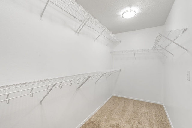 walk in closet with light carpet