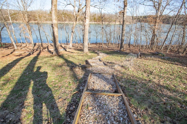 28007 Fox Fire Ln, Shell Knob, MO 65747 - view of yard with a water view